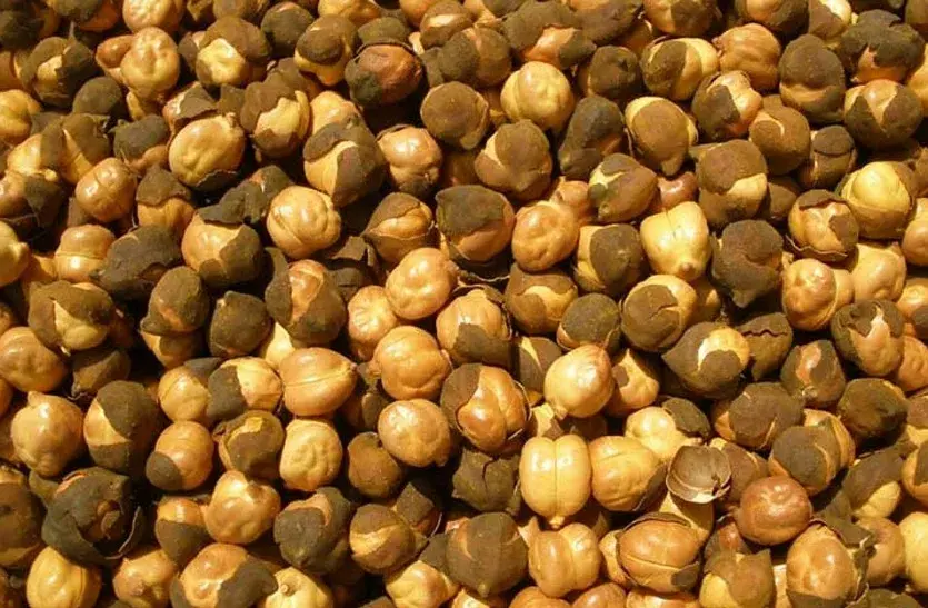 Cropped Image